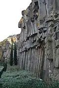 Basalt organ