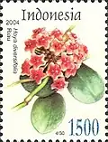 On an Indonesian postage stamp