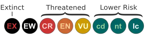 Icons for Red List categories