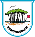 Official logo of Golem