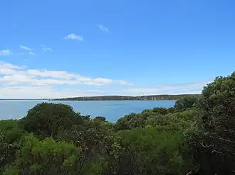 The inlet seen from the lookout at the Stokes Inlet Picnic Area