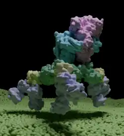 Structure of the complete 14-subunit botulinum neurotoxin B complex (L-PTC)