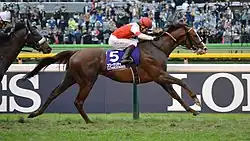 Suave Richard crossing the finish line at the 2019 Japan Cup, winning the race, 3/4ths of a length ahead of Curren Bouquetd'or, who can also be seen in the picture.