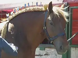 Mane roll with rosettes