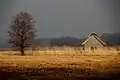 Suitsu meadow