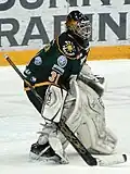 Niko Sulkanen