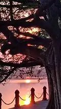 Sunset at the Rabindra Sarovar