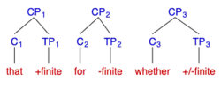 Adapted from Sportiche et al., 2014 page 96