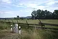 Pasture