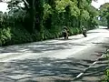 Two TT motorcyclists approaching Quarry Bends in 2003.
