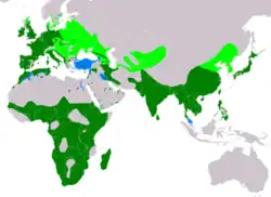 alt=Global range breeding resident non-breeding vagrant (seasonality uncertain)