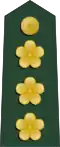 Taiwan (shang xiao)