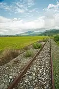 Decommissioned railway tracks by the Huadong Highway in Ruisui Township