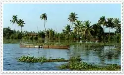 Tanur Beach
