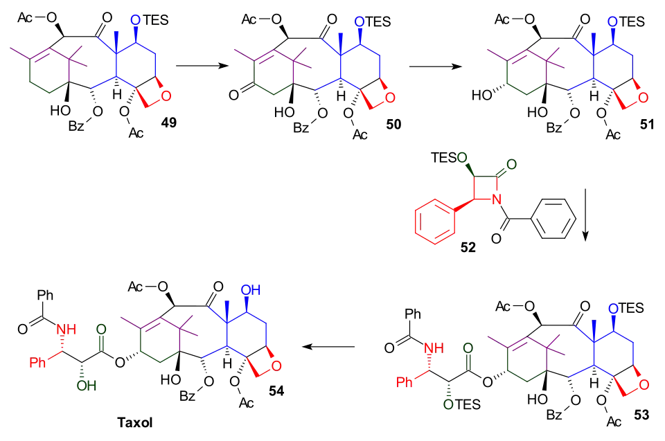Scheme 6 Danishefsky Taxol total synthesis Tail Addition