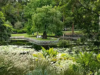 Brisbane Botanic Gardens, Mount Coot-tha, Queensland