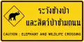 Elephant crossing