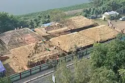 Hay thatching for making Pandals at Kolkata