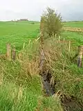 The Dalrympleston Burn running down towards the old loch site.