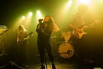 The History of Apple Pie at The Lexington in 2014