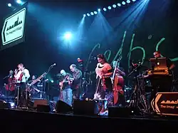 The Imagined Village playing in 2010