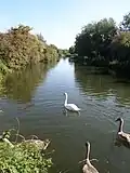 By the River Stort