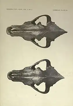 The fauna of Rancho La Brea, by John C. Merriam[clarification needed]