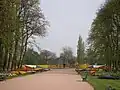 Flower display in the park