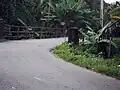 The left road to the waterfall...