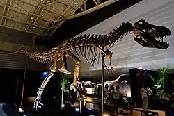 Tinker the T. rex