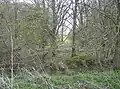 Titsal Wood, Shadingfield