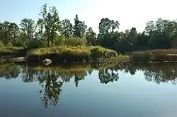 The Muraka 'sacred grove island' in the Pärnu river in Muraka