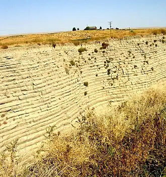 This photo shows a canyon cut into the surrounding flat soil with 32 distinct horizontal layers of soil, each clearly demarked from the layer below. Above the canyon a farm house can be seen in the distance - the farm house provide the perspective that helps the viewer establish that the cut is over 40 deep. The bottom of the cut is filled with tumble weeds.
