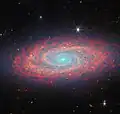 NGC 2090 imaged by the James Webb Space Telescope
