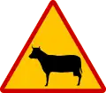 K-18 Domesticated animals