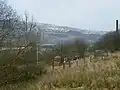 A train passing the IBM boiler house
