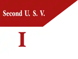 Digital reconstruction of the guidon carried by Company I of 2nd United States Volunteer Cavalry, 1898[75]