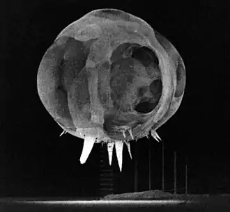 Image 8Operation Tumbler-Snapper, by Lawrence Livermore National Laboratory (from Wikipedia:Featured pictures/Sciences/Others)
