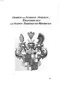 Arms of the counts