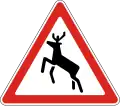 Deer crossing