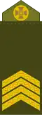 Старший сержант Starshyy serzhant (Ukrainian Ground Forces)[35]