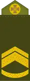 Майстер-сержант Maister-serzhant (Ukrainian Ground Forces)[33]