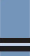 Air Commodore rank braid