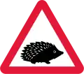 Small wild animals likely to be in the road