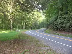 A two-lane road curving through a green forest, with grass at left