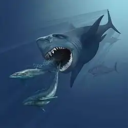 Megalodon pursuing two Eobalaenoptera whales by Karen Carr