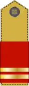 Lieutenant