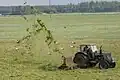 Artificially grazed meadow