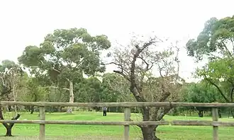 Golf course at Valley View