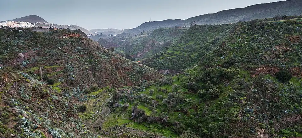 Valsequillo de Gran Canaria 2017